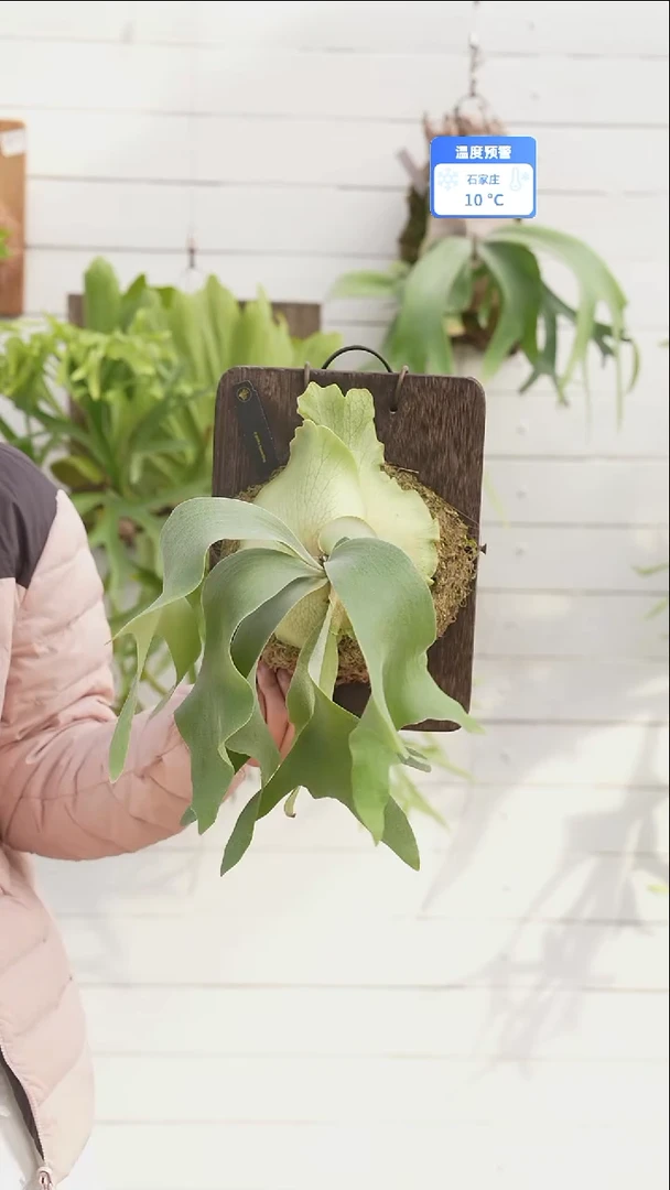 完全开放A023银华