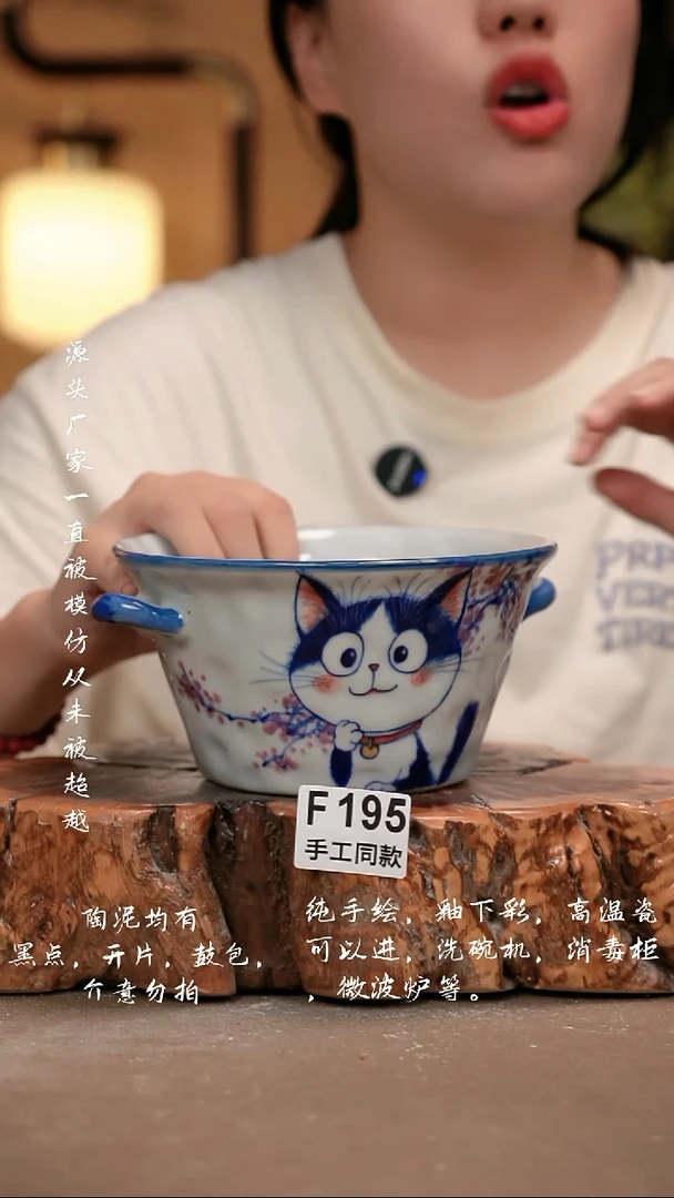 其他F195 新十二器