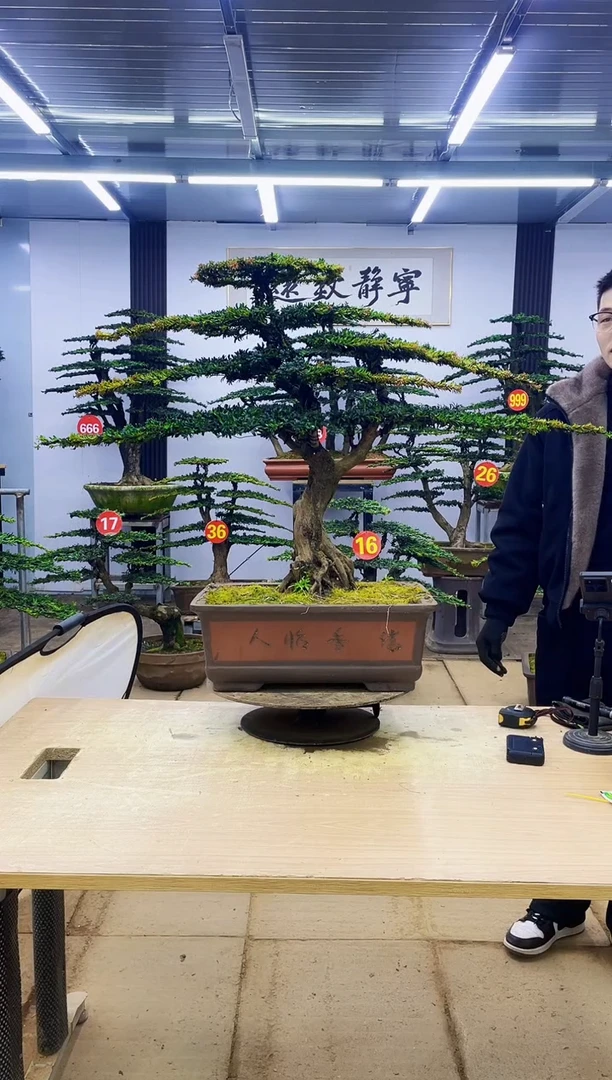 无花朵小*羔000000000000000000000