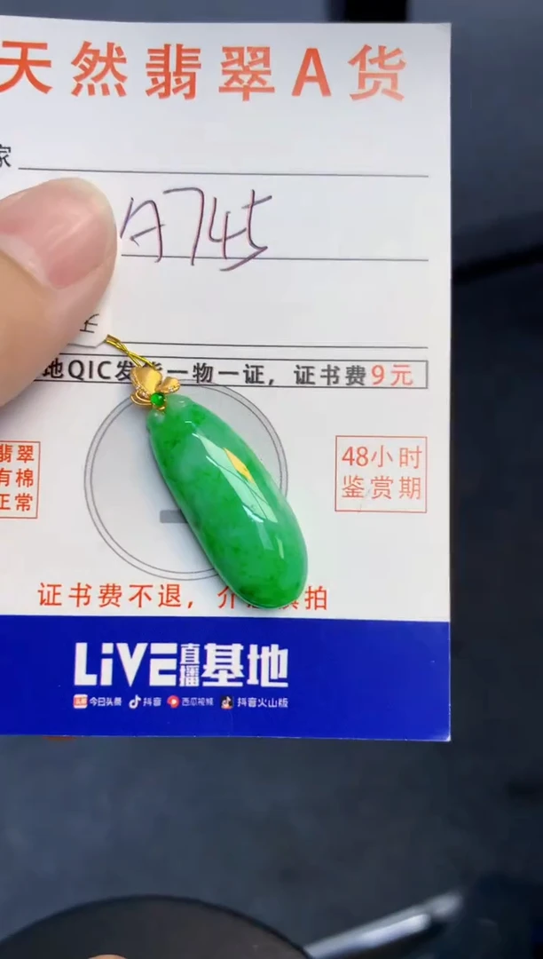 颈饰18K金镶嵌翡翠天然缅甸A货翡翠百元以上9元证书费自理