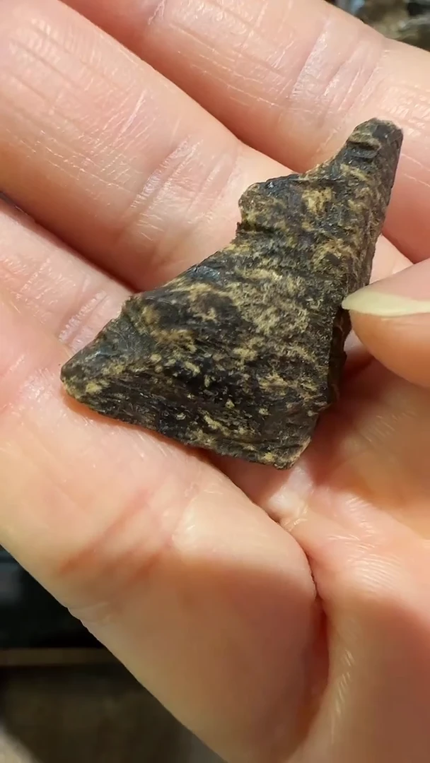 香料金三角沉水老料1.96g