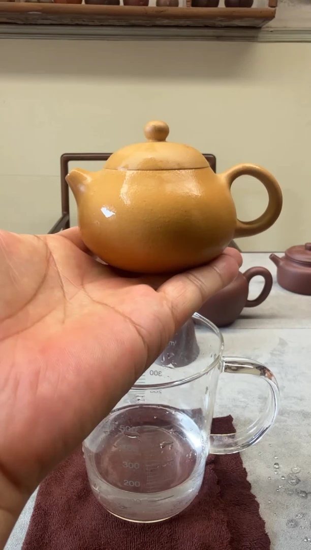 茶壶紫砂130CC本绿半手文旦