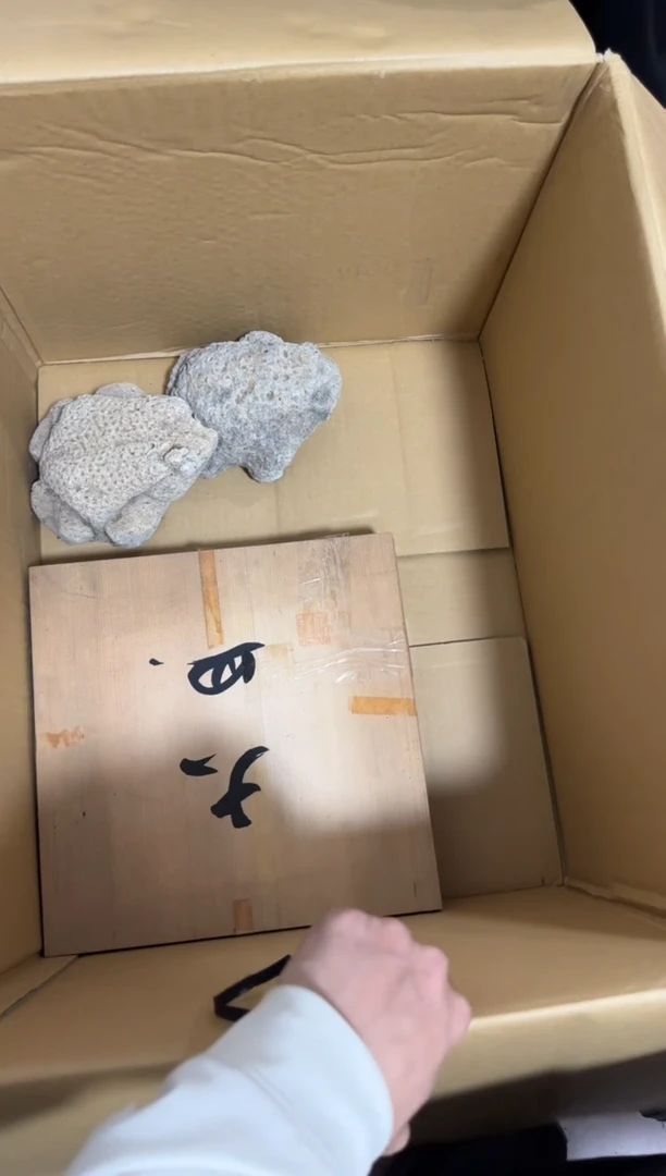 瓷片再**限369 中古商品，谨慎购买