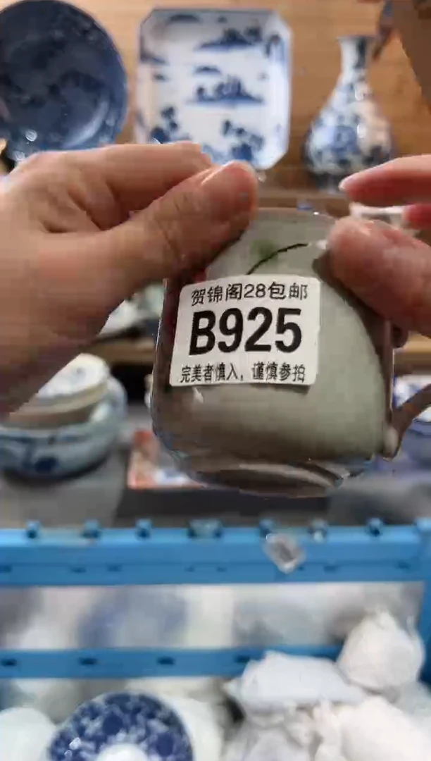 【闪购商品】瓷片当天满28米包邮B925