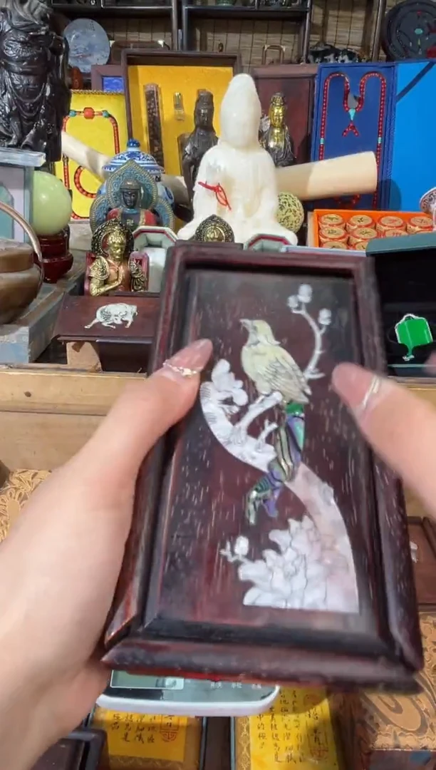 【闪购商品】龙龙龙龙龙龙龙龙