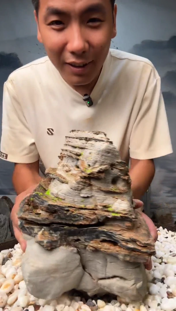直播一物一拍链接