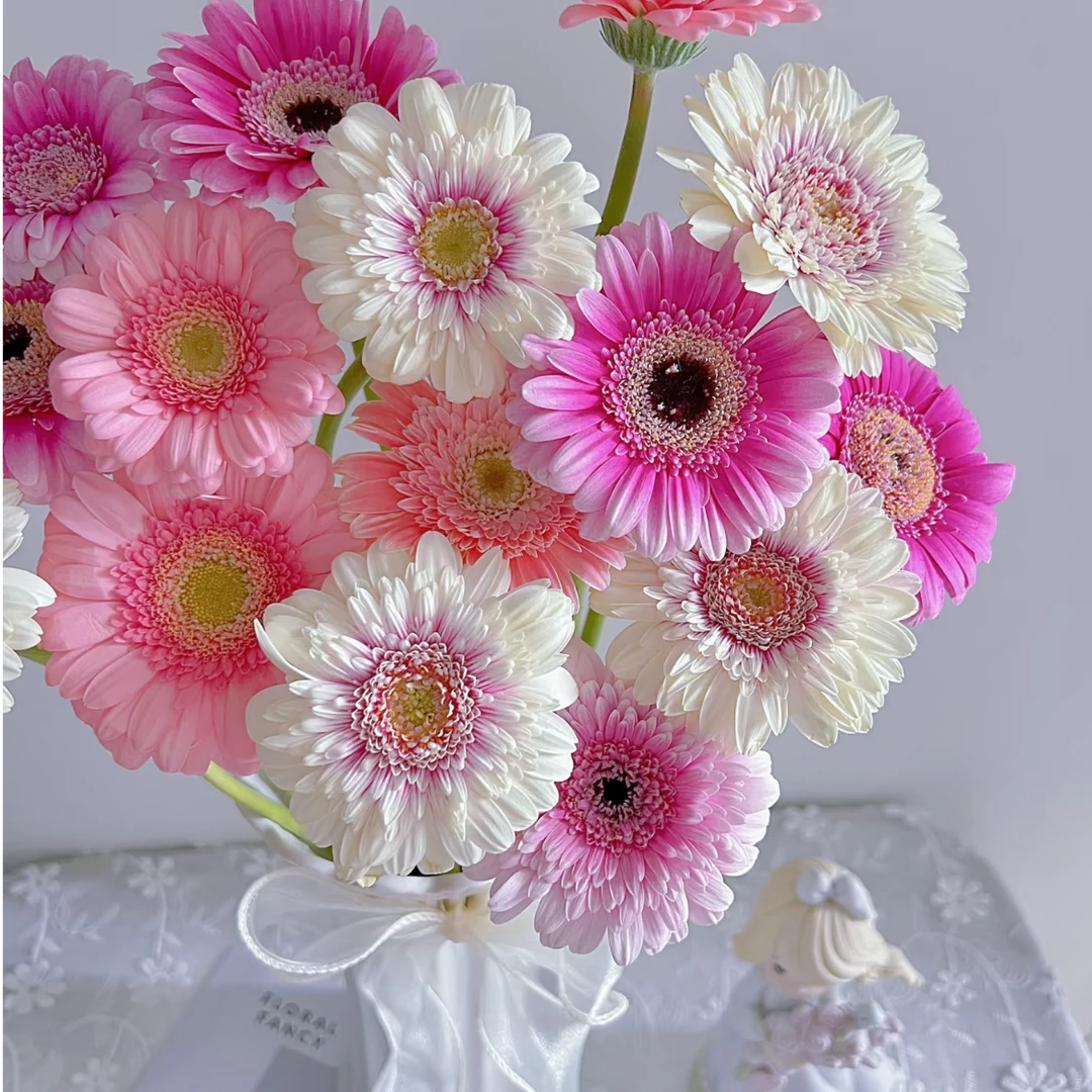 【大聪明卖花】非洲菊-任意2单鲜花包邮发货后不支持退款