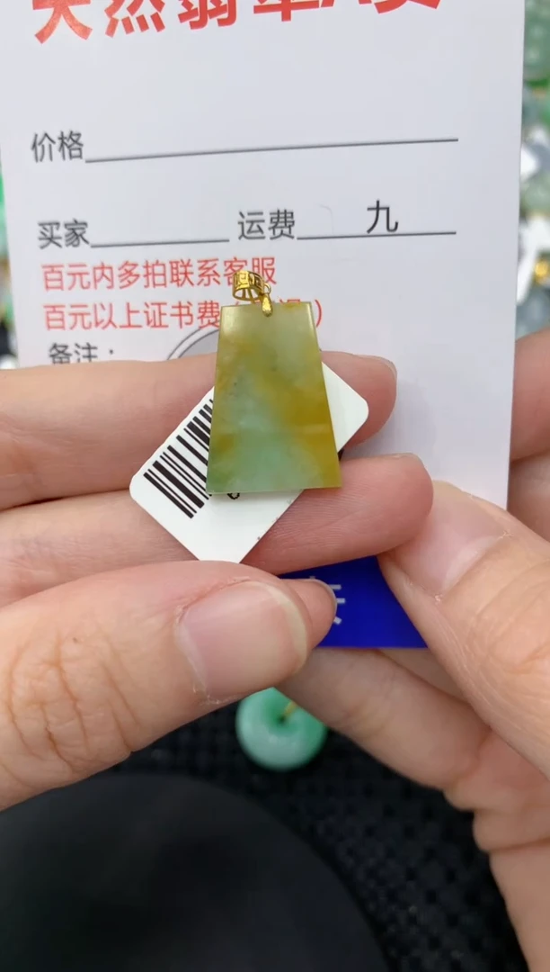 【闪购商品】翡翠颈饰18K金镶嵌11111111