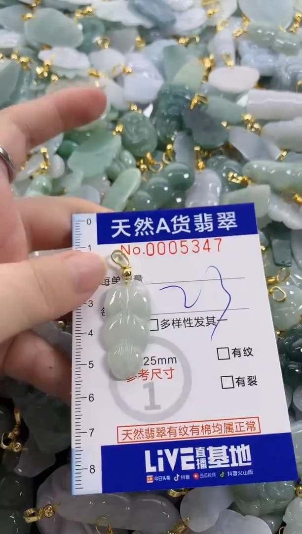 颈饰未镶嵌翡翠天然A货翡翠