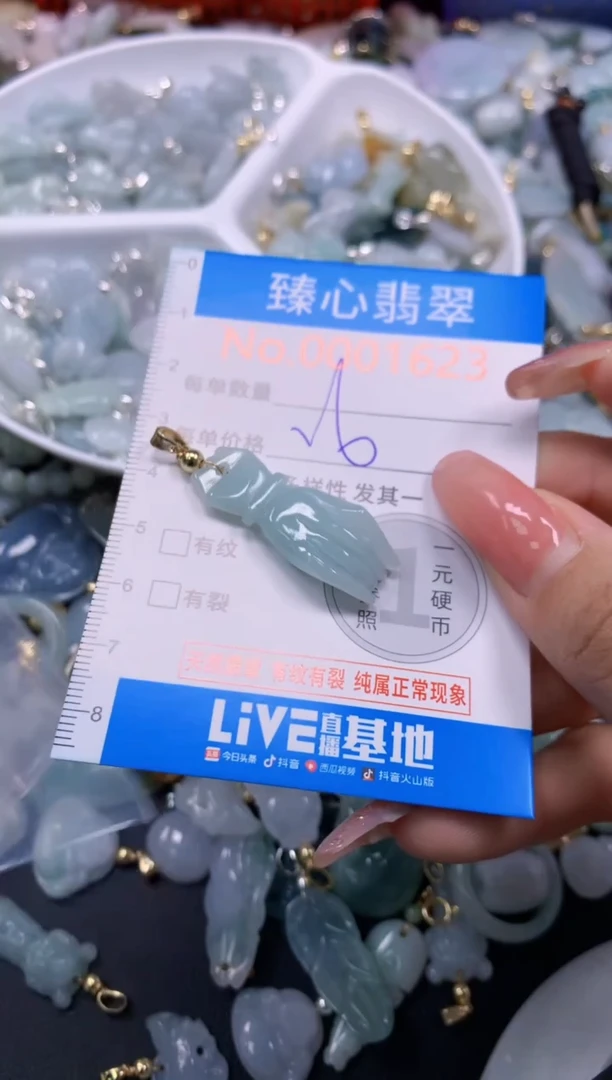 翡翠未镶嵌颈饰1624