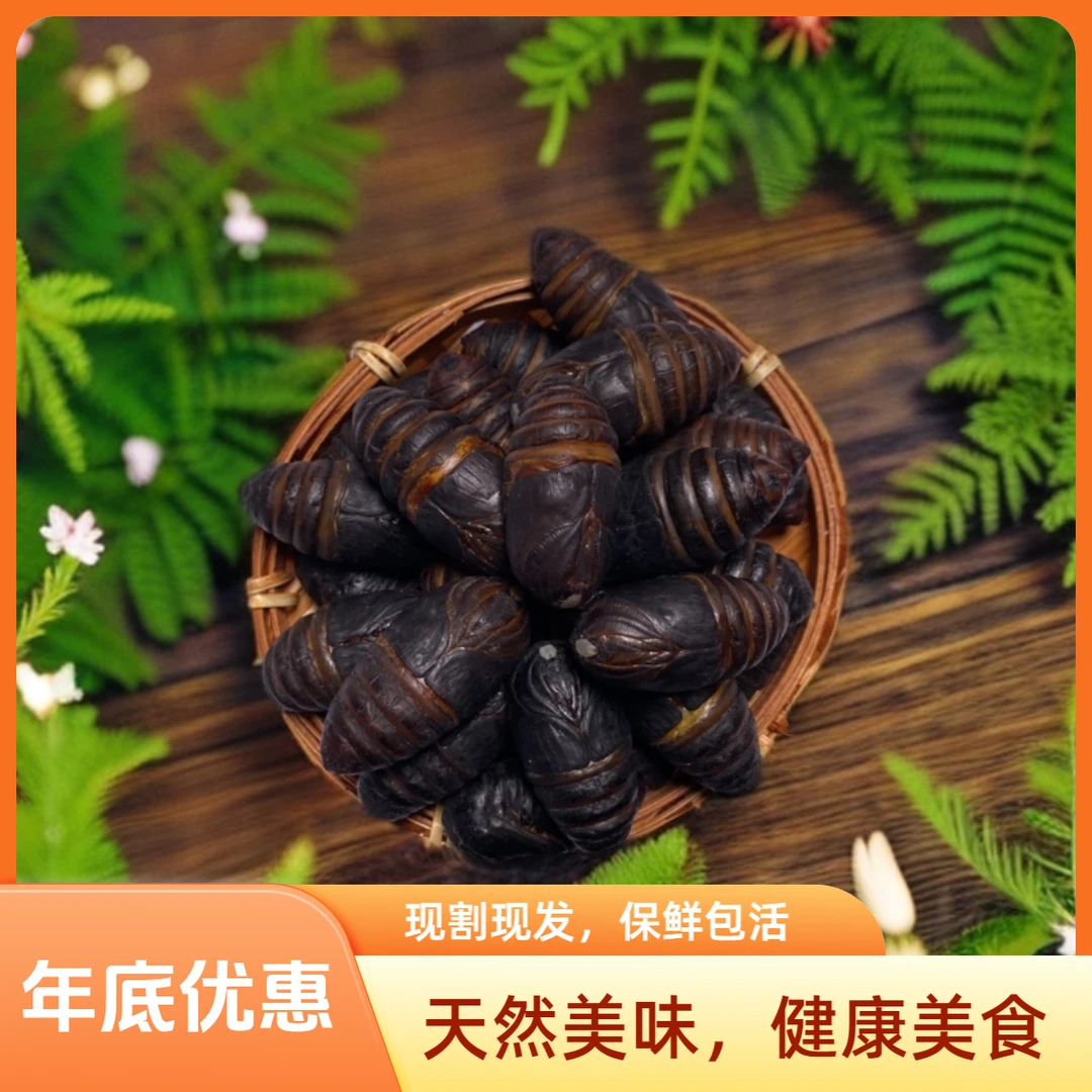 【西丰柞蚕蛹】东北西丰大黑蚕蛹 高蛋白 多种膳食纤维