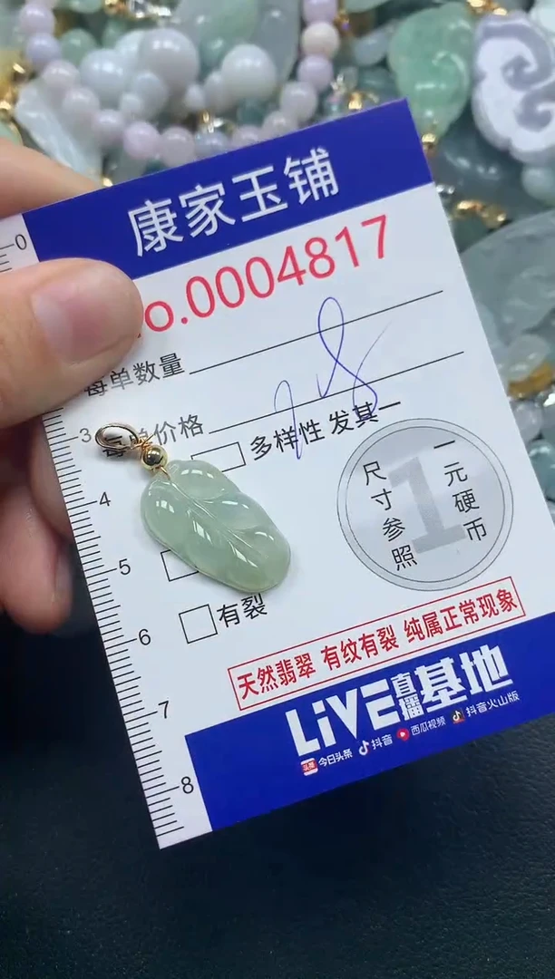 颈饰未镶嵌翡翠4817