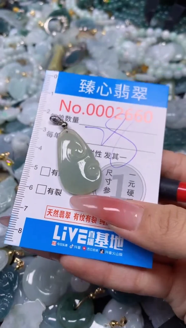 【闪购商品】翡翠颈饰未镶嵌含绳0002660