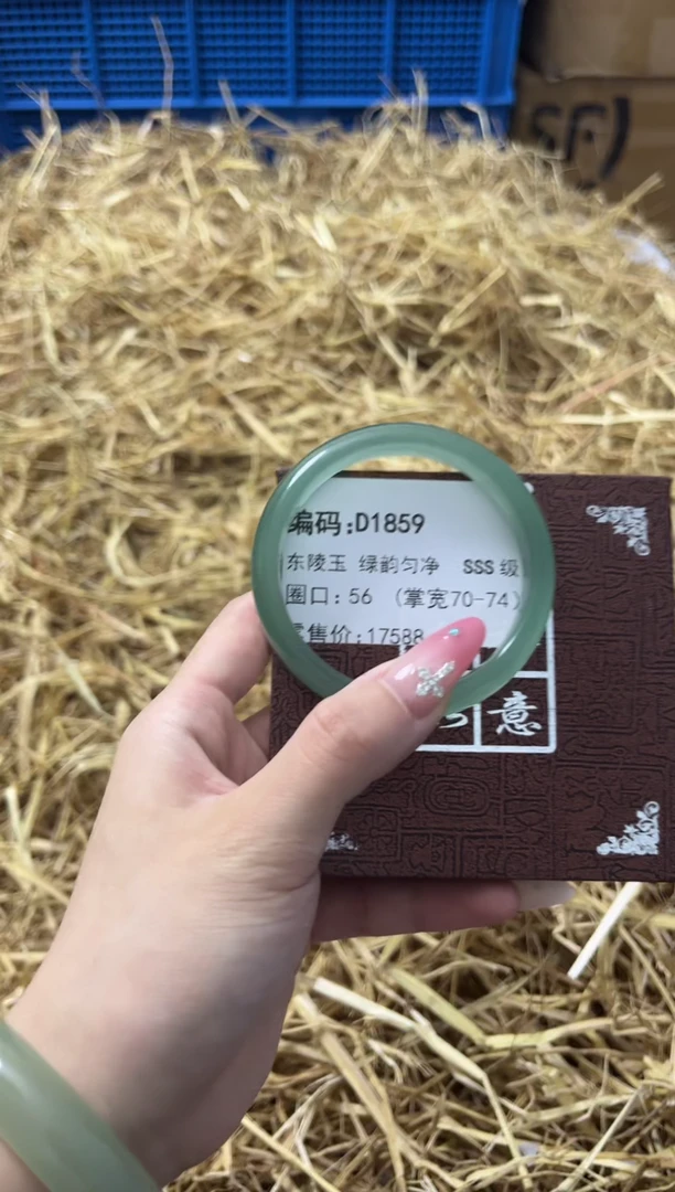 未镶嵌手镯石英质玉D1859