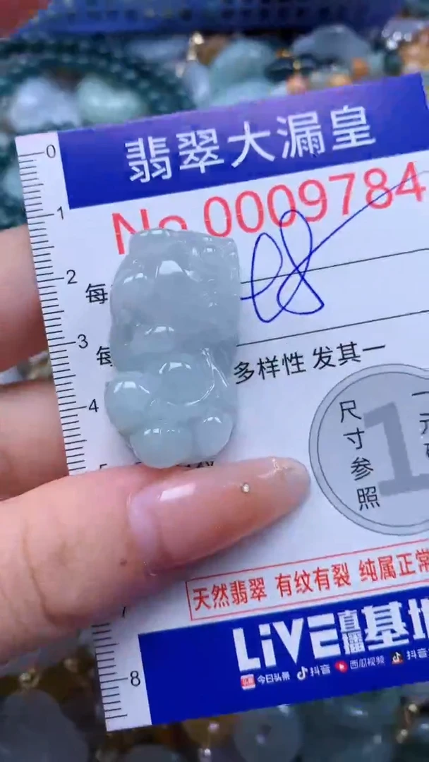 翡翠未镶嵌吊坠(不含链)9784