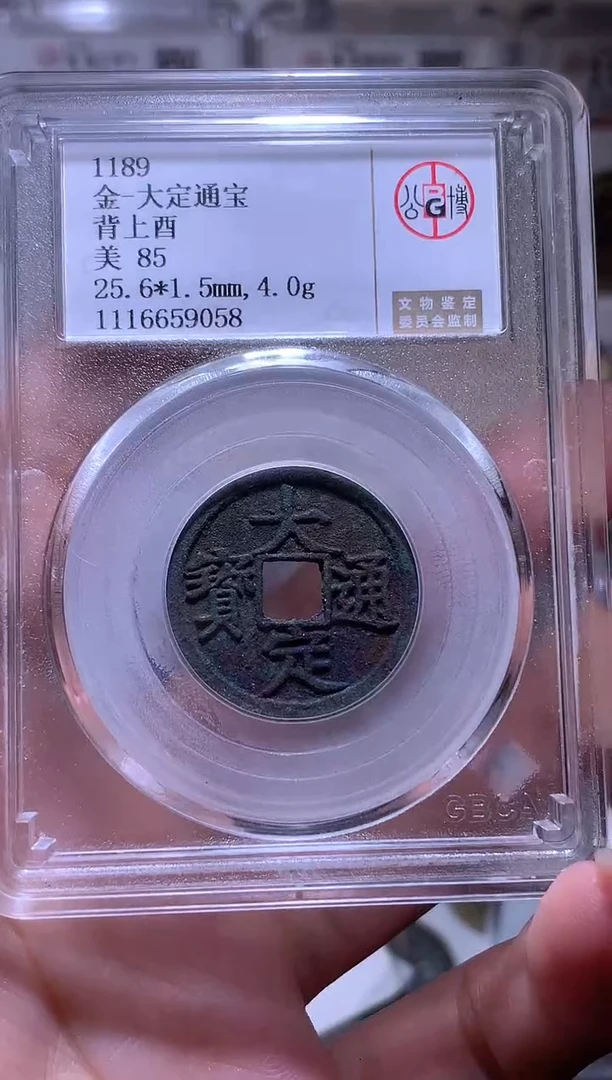 铜杰*钱缘/26/大定通宝背上酉/M9058
