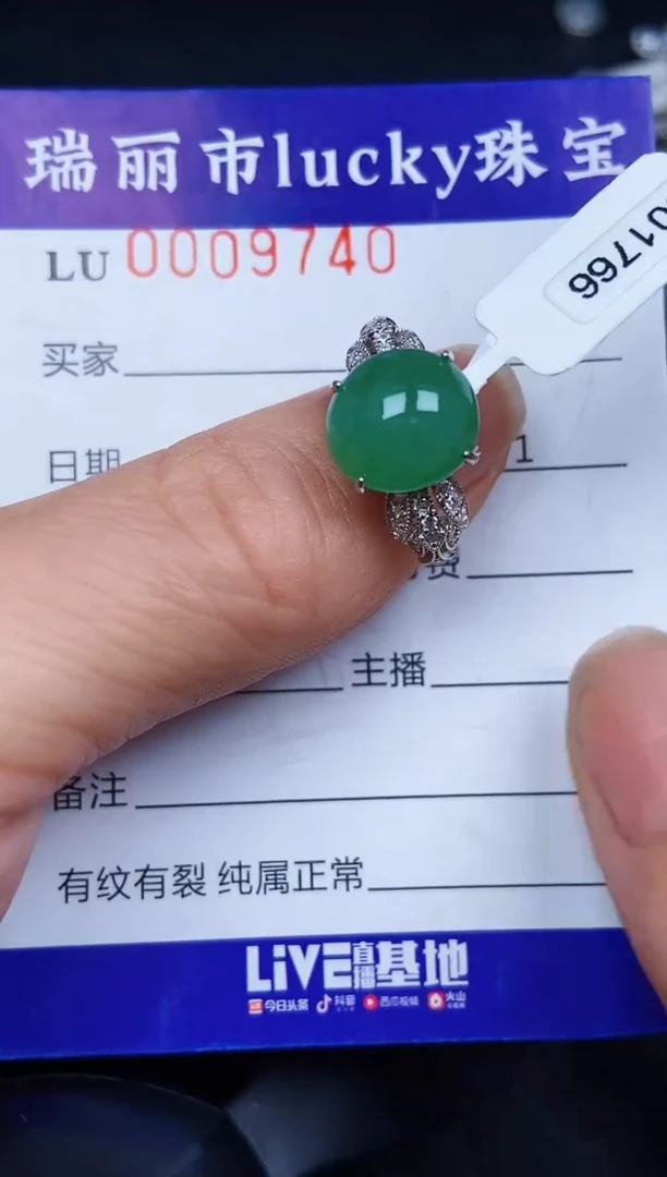 翡翠银S925镶嵌颈饰9740