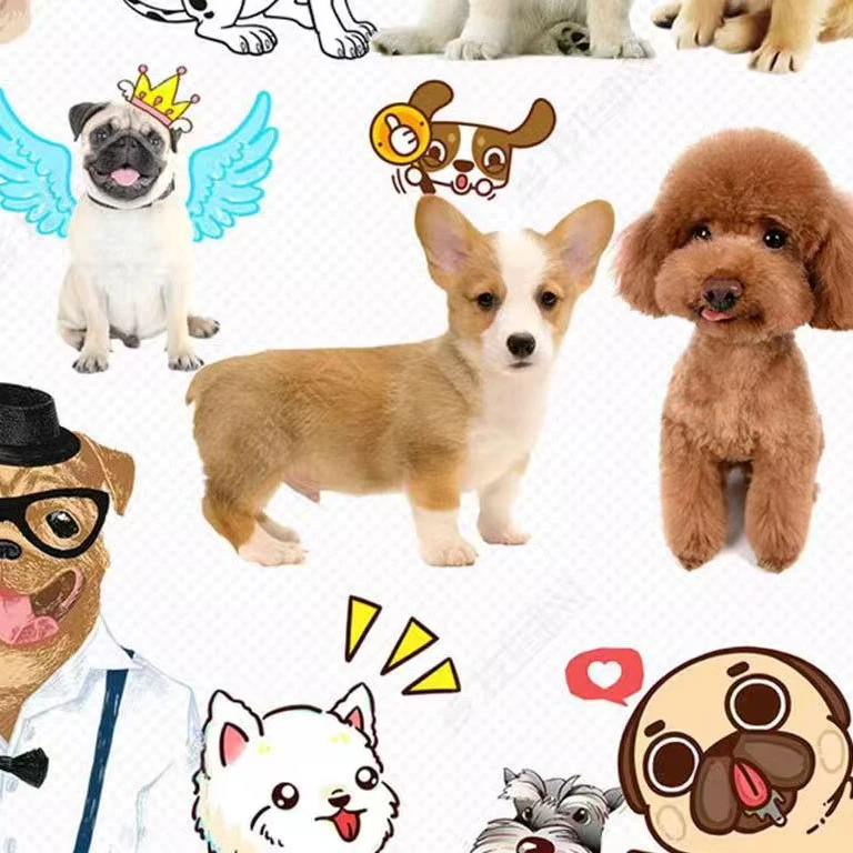 （相册定金）拍前联系客服