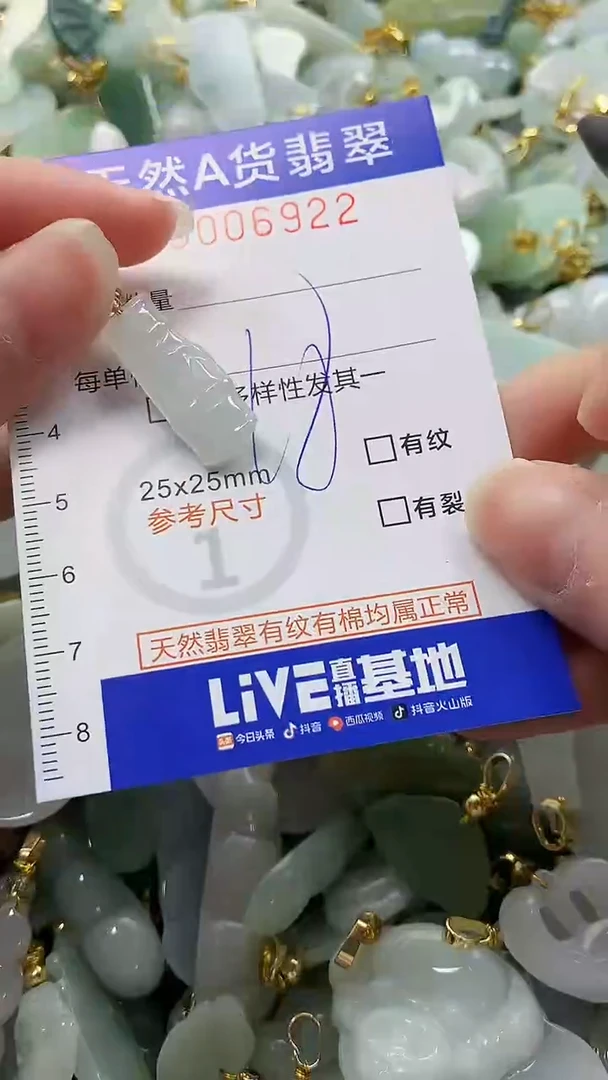 颈饰未镶嵌翡翠纯天然a货翡翠