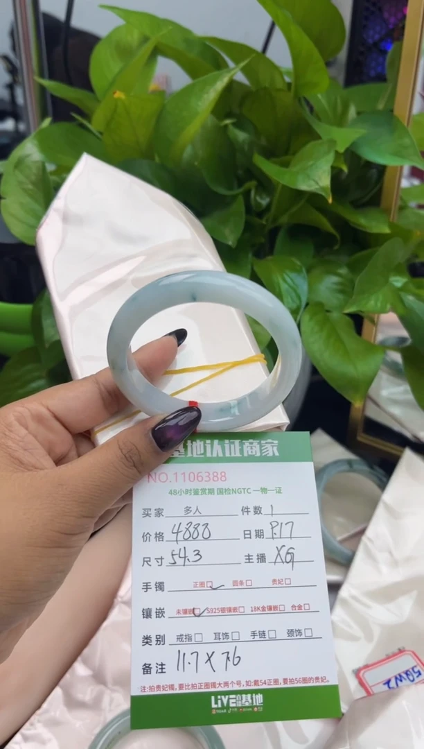未镶嵌手镯翡翠多人