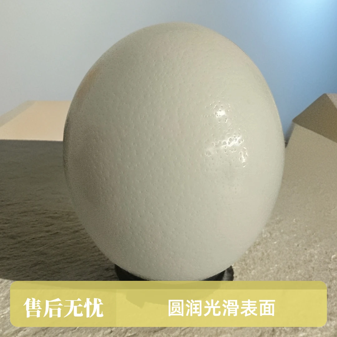 顺丰快递新鲜鸵鸟蛋营养健康禽蛋特产送老人孕妇小孩领导鸸鹋蛋
