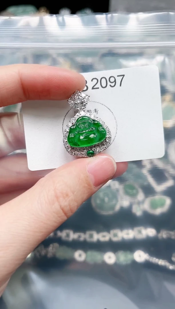 【闪购商品】翡翠颈饰未镶嵌赠皮绳2097