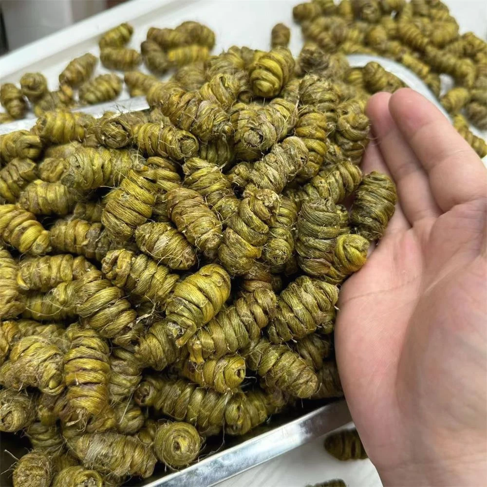 鉄皮石斛干（大粒） 多胶质煲汤泡茶煲水