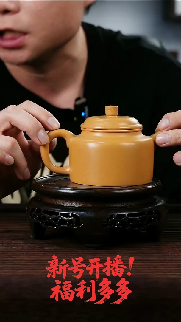 茶壶紫砂芒果老段泥