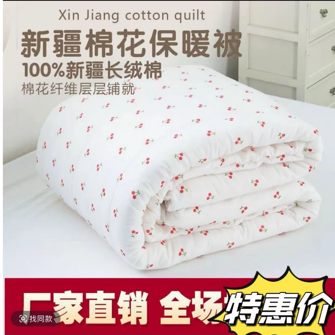 5斤新疆棉被四季通用空调款（带网套）