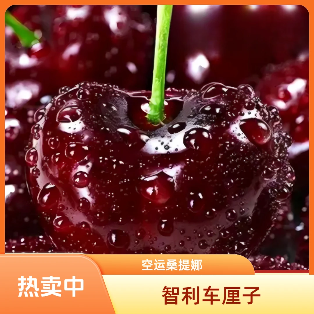 【小U专属】4JD智利空运车厘子桑提娜 脆甜多汁新鲜大果 内附果径卡