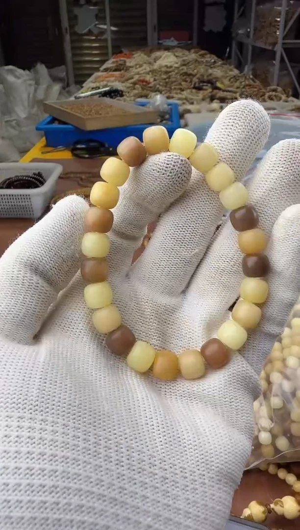 菩提根/象牙果手串菩提根黄白棕相间