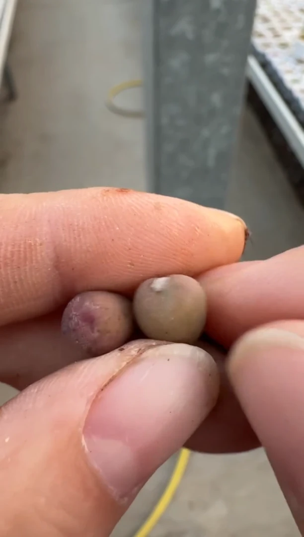 【闪购商品】3-157