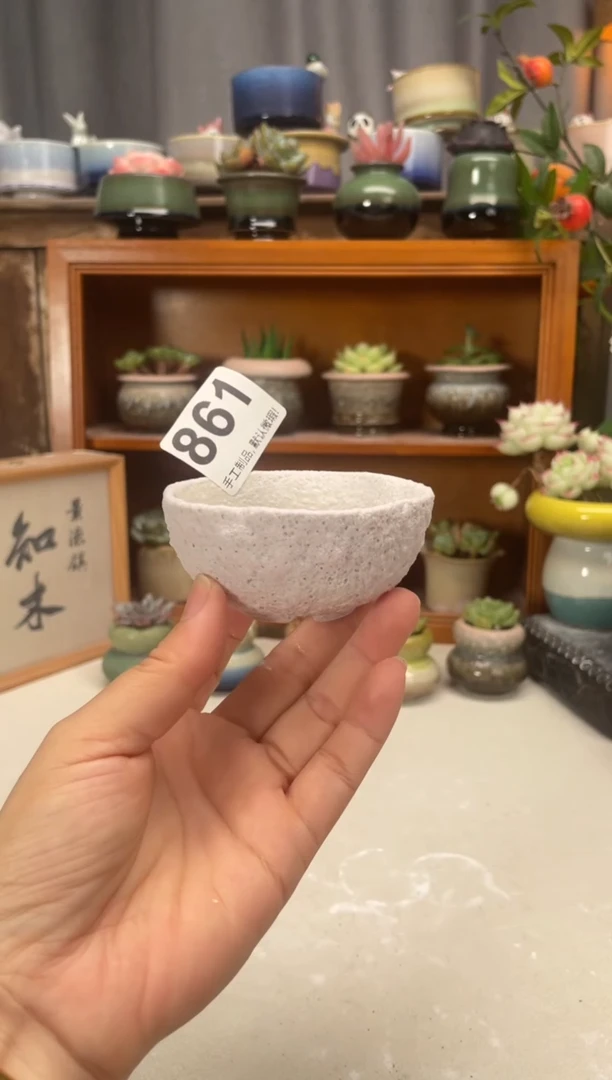 瓷片861知木小芳花盆