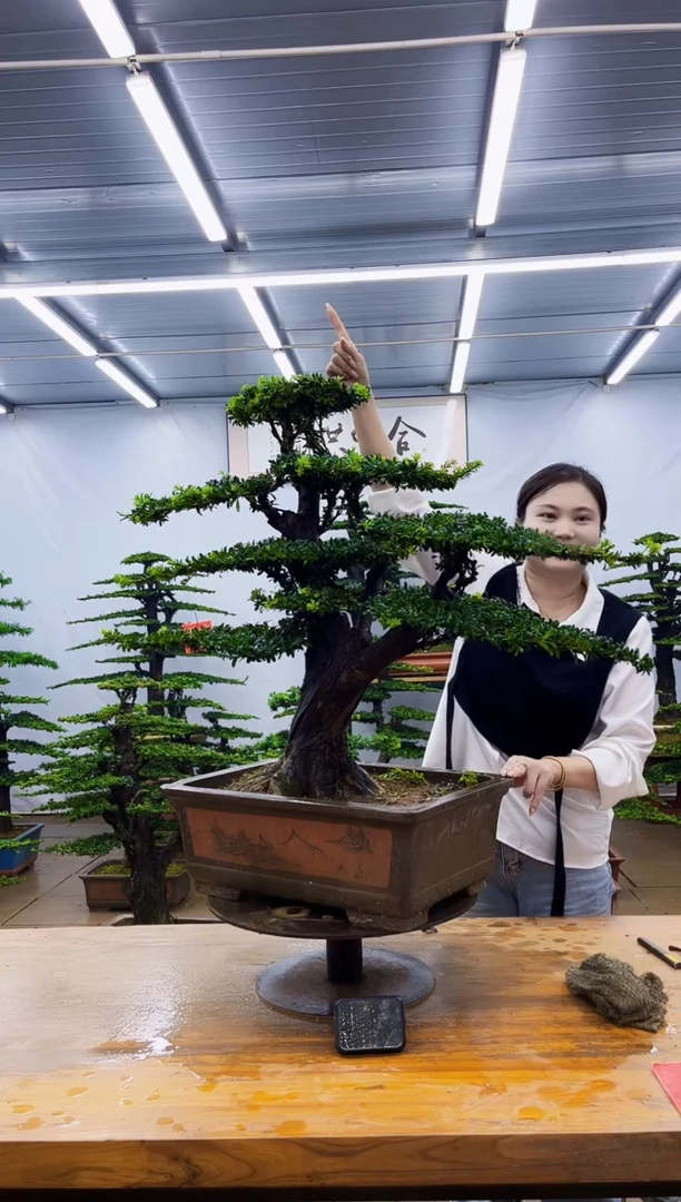 无花朵一物一拍，所见即所得