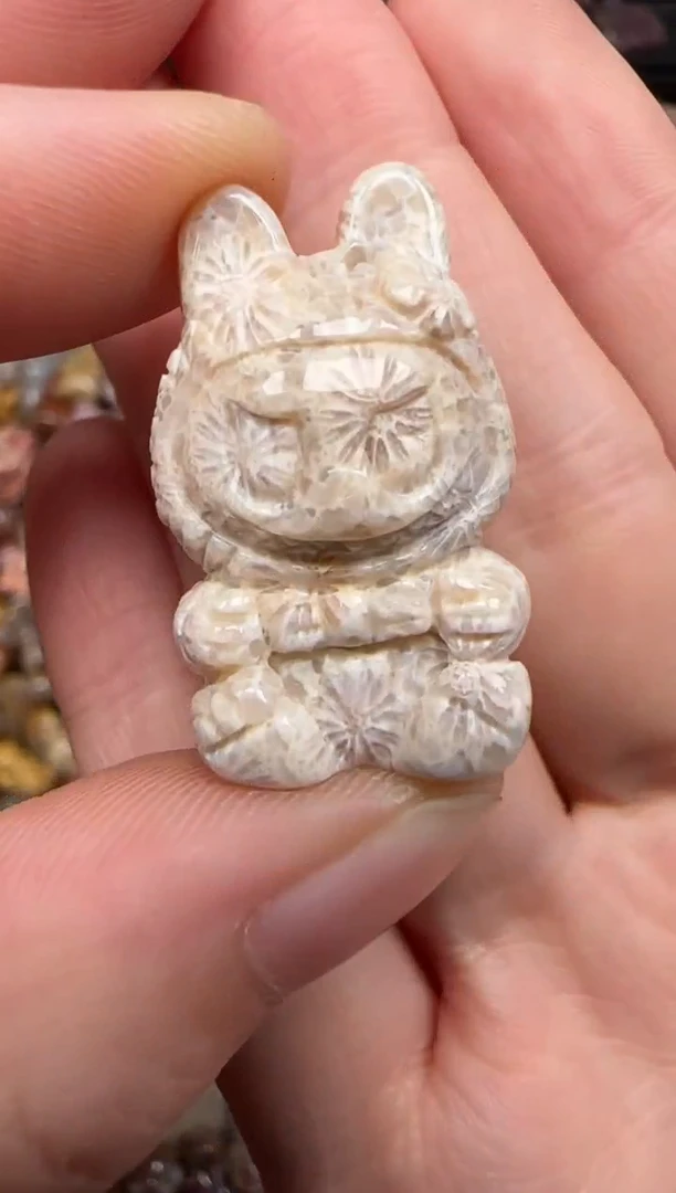 硅化珊瑚（珊瑚玉）未镶嵌颈饰300