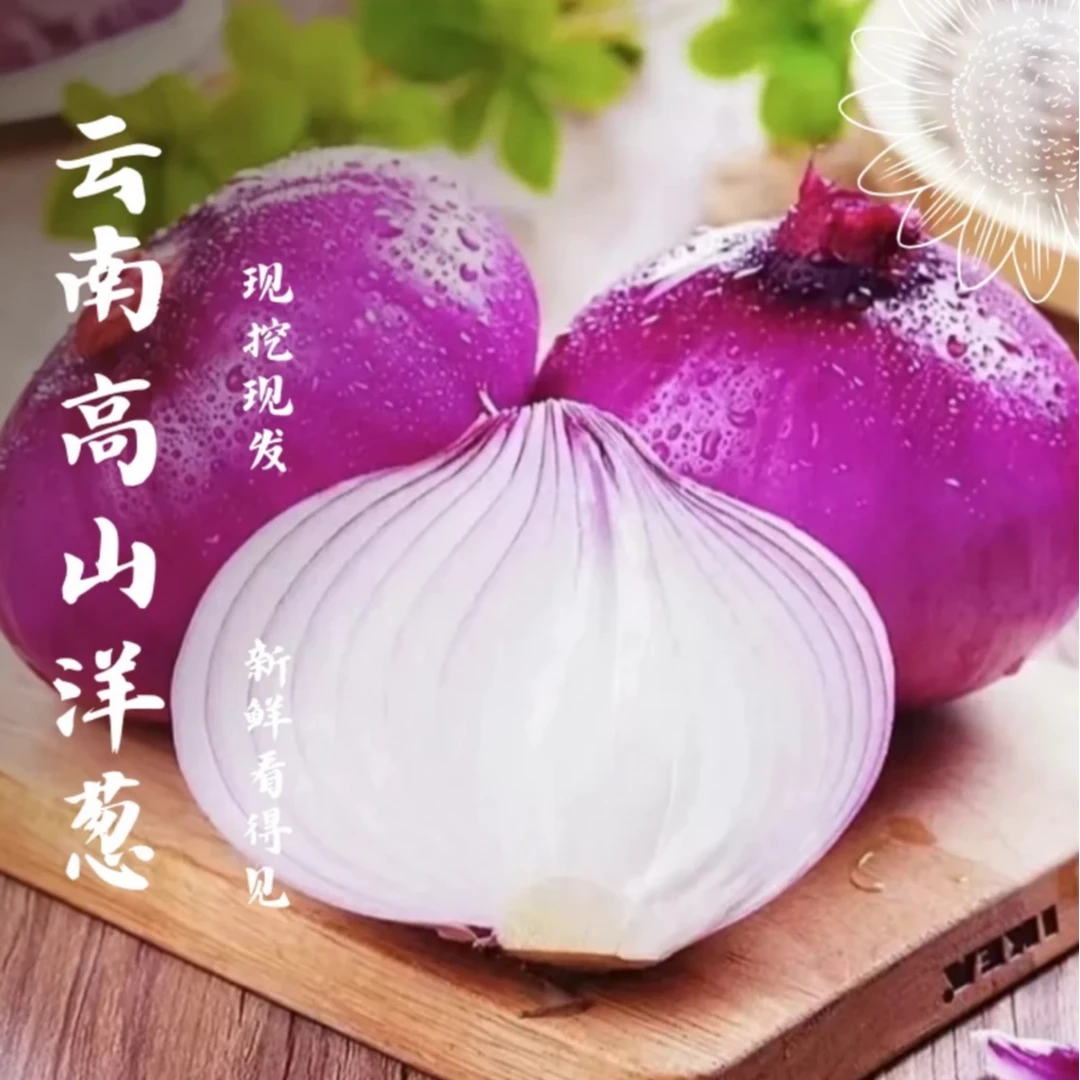 云南紫皮洋葱新鲜应季可生吃可凉拌可炒菜的蔬菜，现挖现发