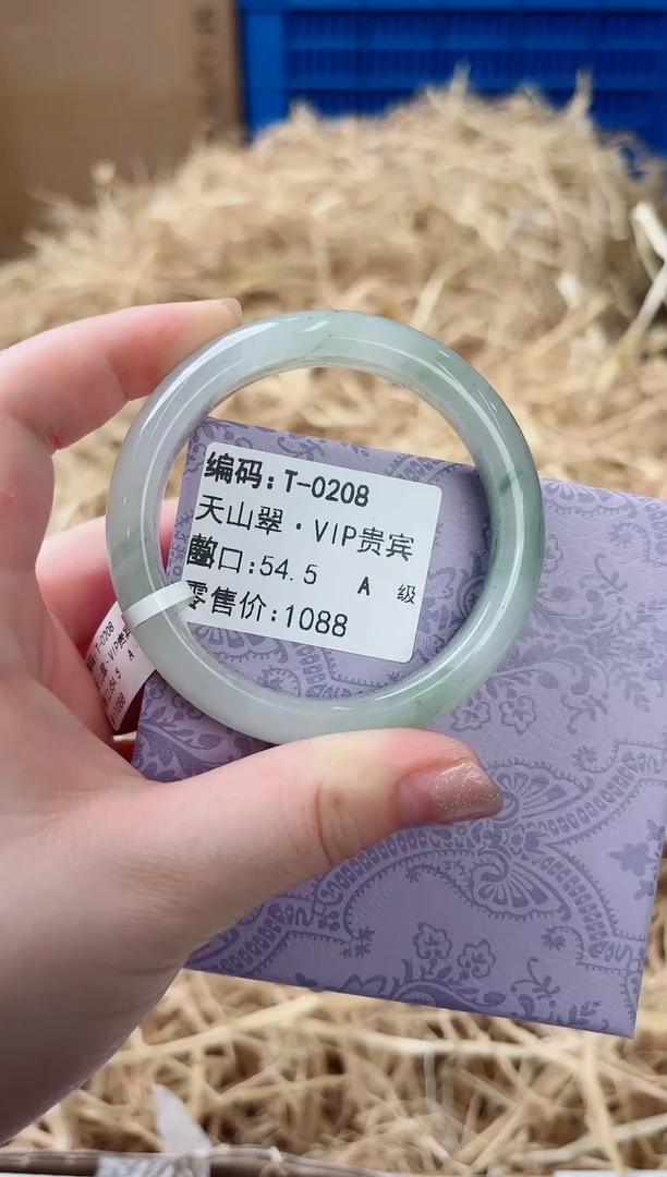 未镶嵌手镯石英质玉T-0208