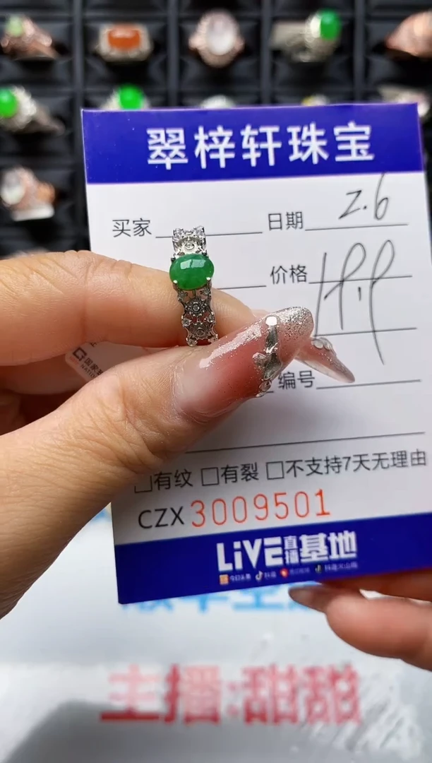 【闪购商品】翡翠戒指银S925镶嵌9501