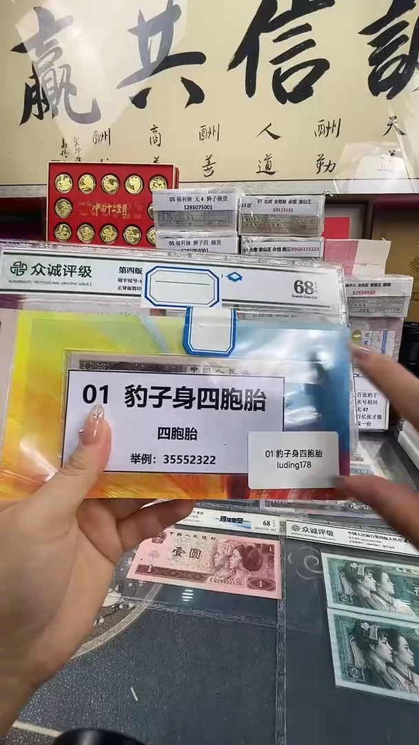 01豹子身四胞胎礼册