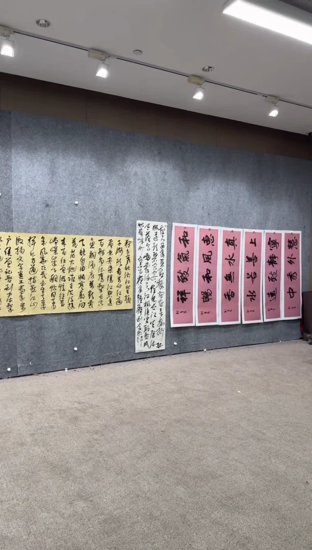 【闪购商品】书法pmw不二轩旗舰店书法LAZ24