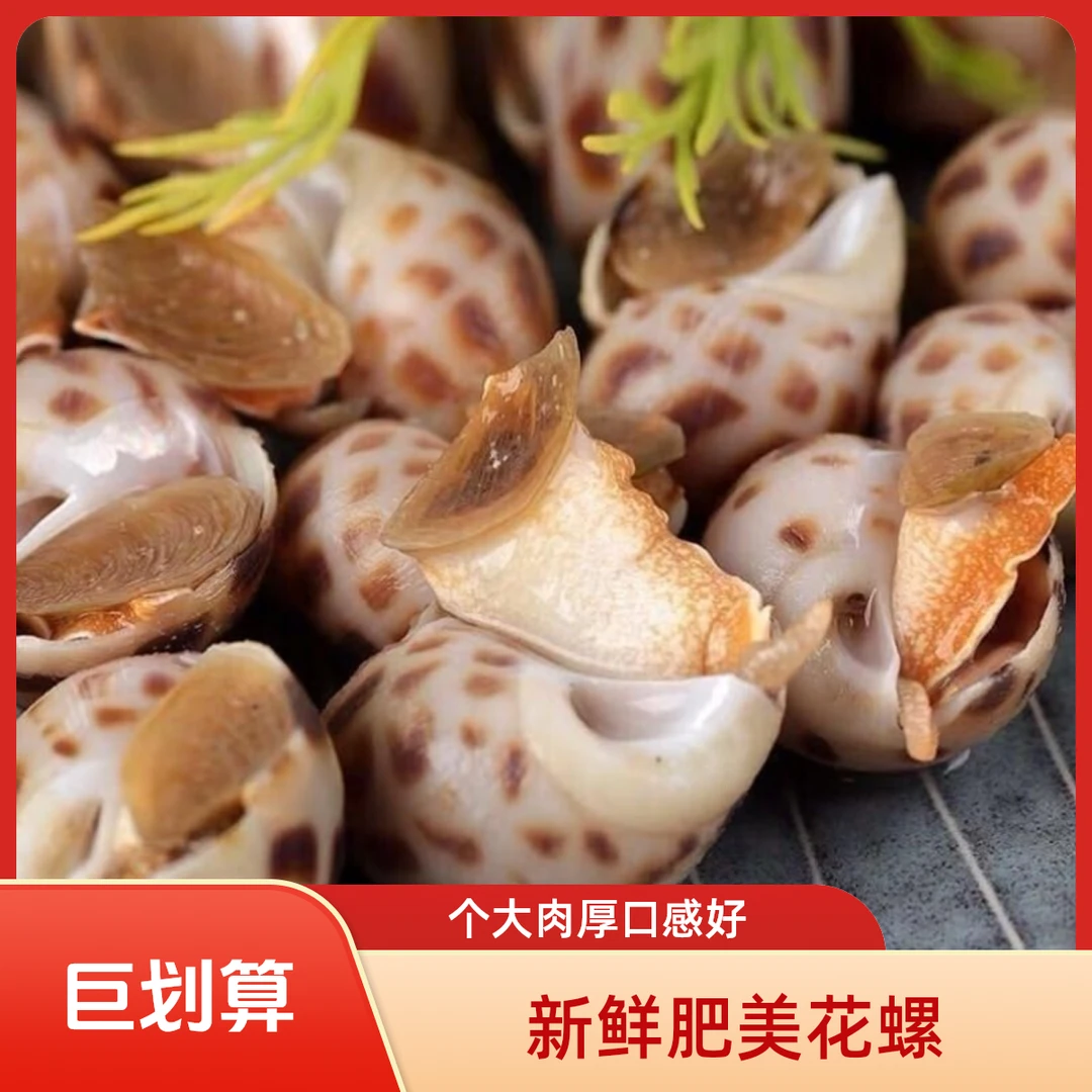 【59.9】花螺海鲜水产个个饱满大海螺-(超多350-400）