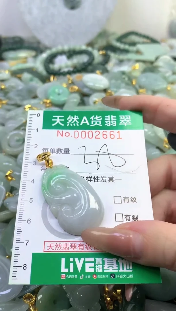 颈饰未镶嵌翡翠天然A货翡翠