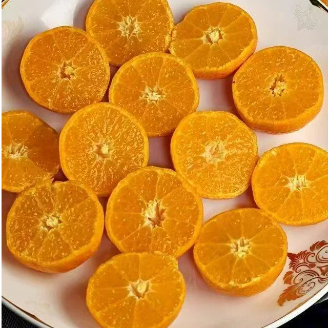 正宗广西砂糖橘一份4斤