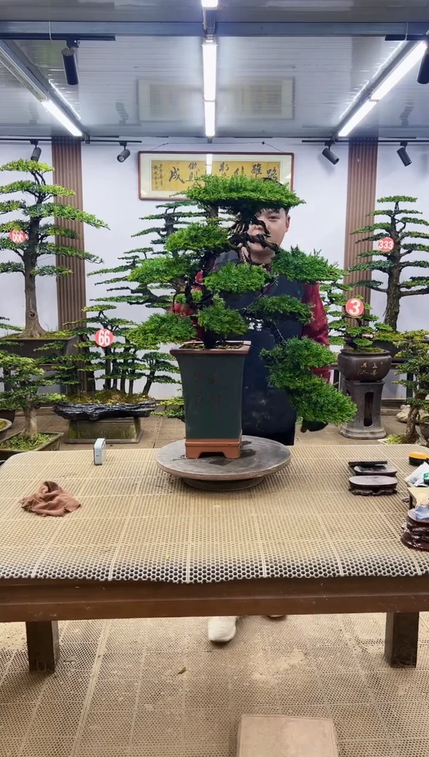 【闪购商品】00000000