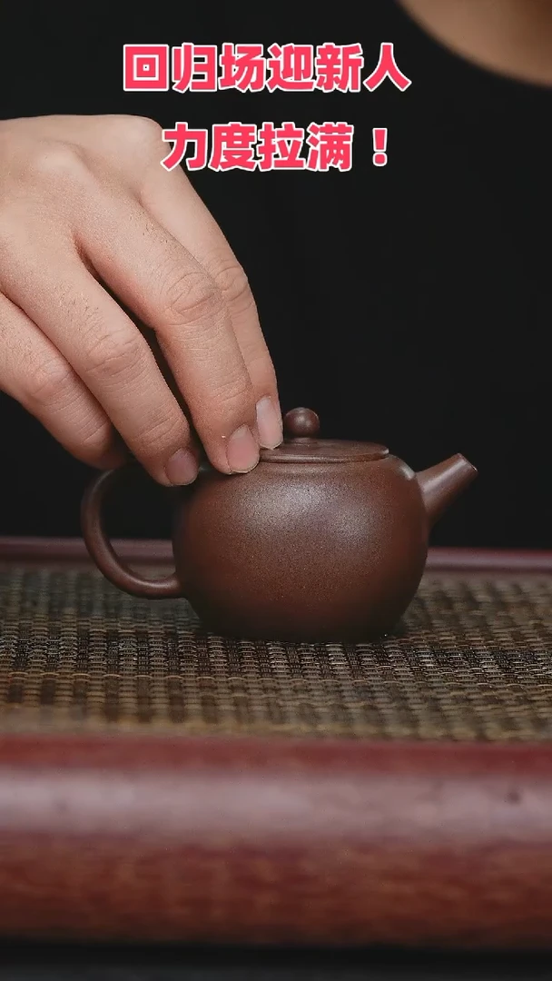 【闪购商品】紫砂茶壶紫砂茶壶