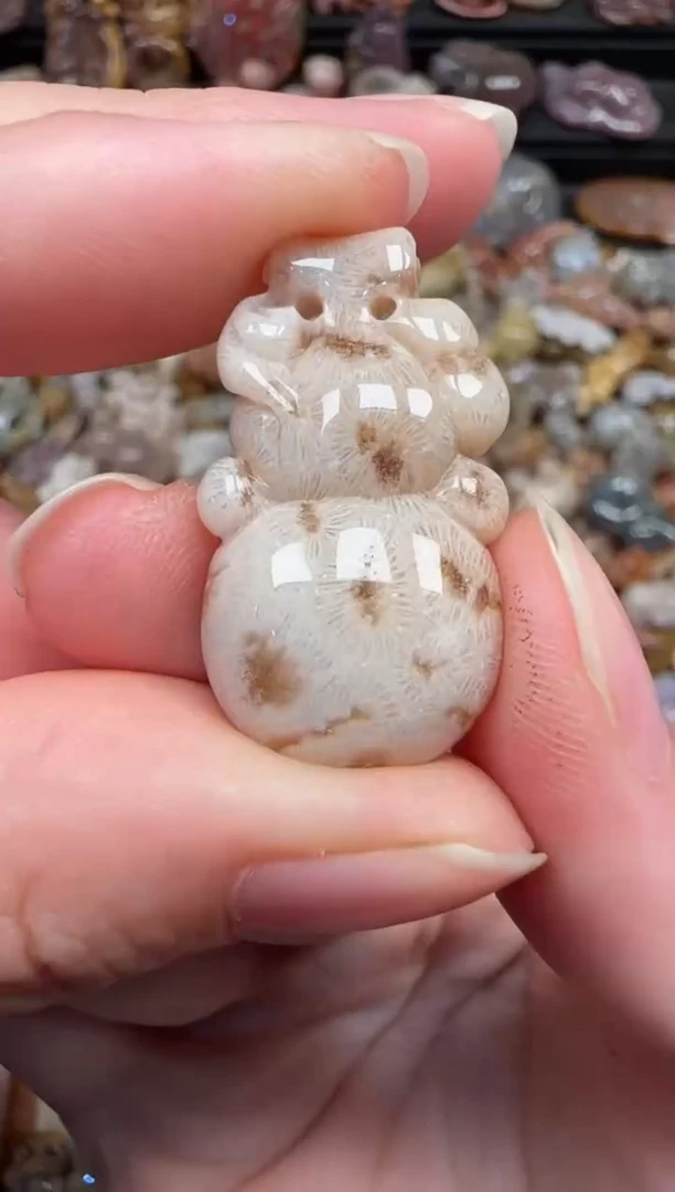 颈饰未镶嵌硅化珊瑚（珊瑚玉）125