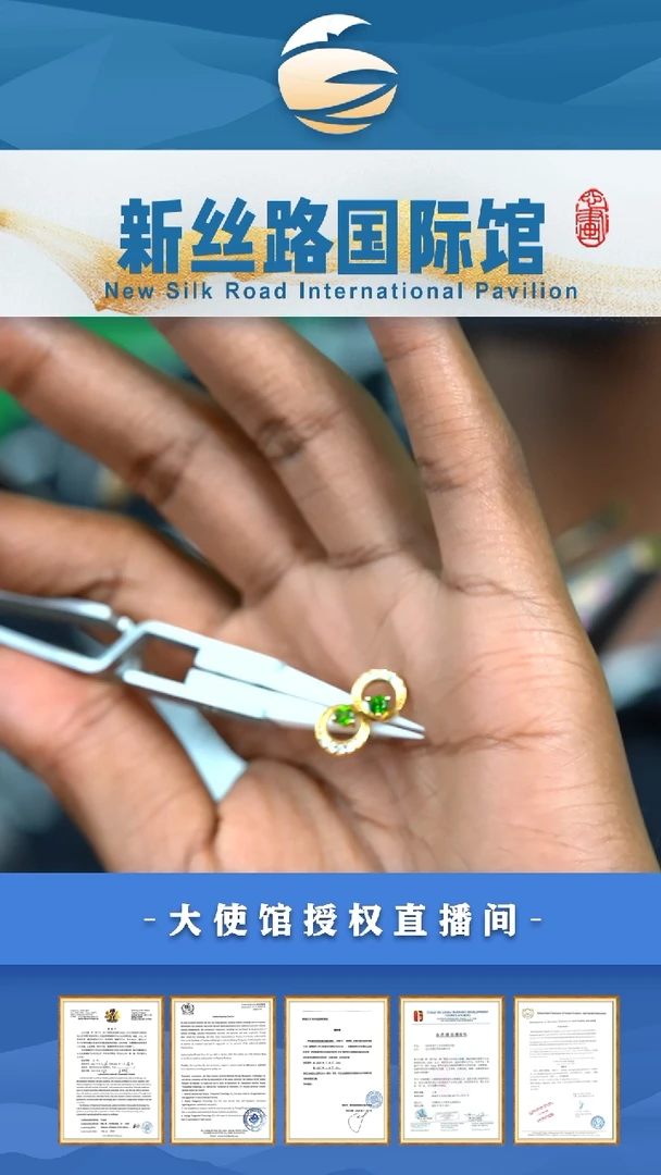 【闪购商品】透辉石耳钉银S925镶嵌0402-CP14