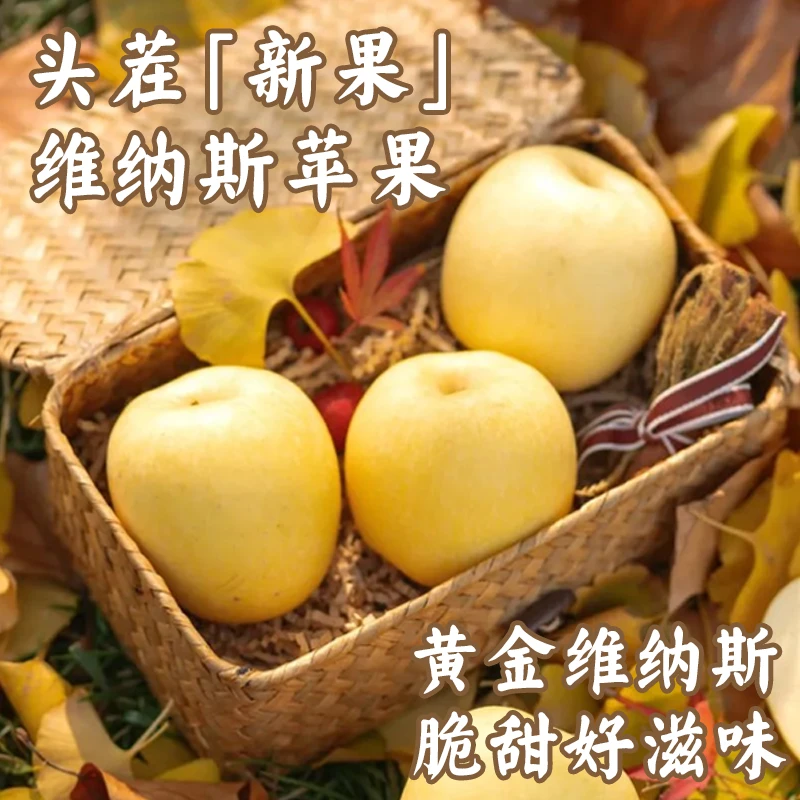 新疆正宗阿克苏维纳斯黄金苹果2025头茬新果舔苹果礼盒送礼