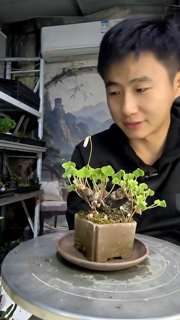 用****5中青园艺一物一拍152