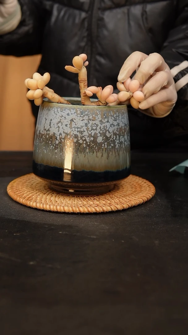 【闪购商品】瓷片景德镇泥泥陶瓷多肉花盆量拍